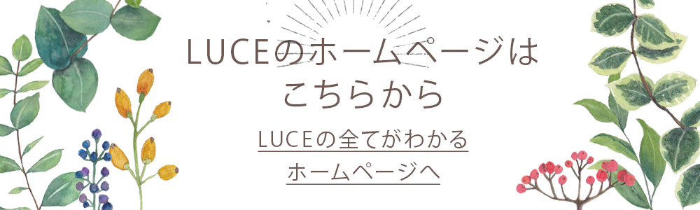 LUCEのホームページはこちらから